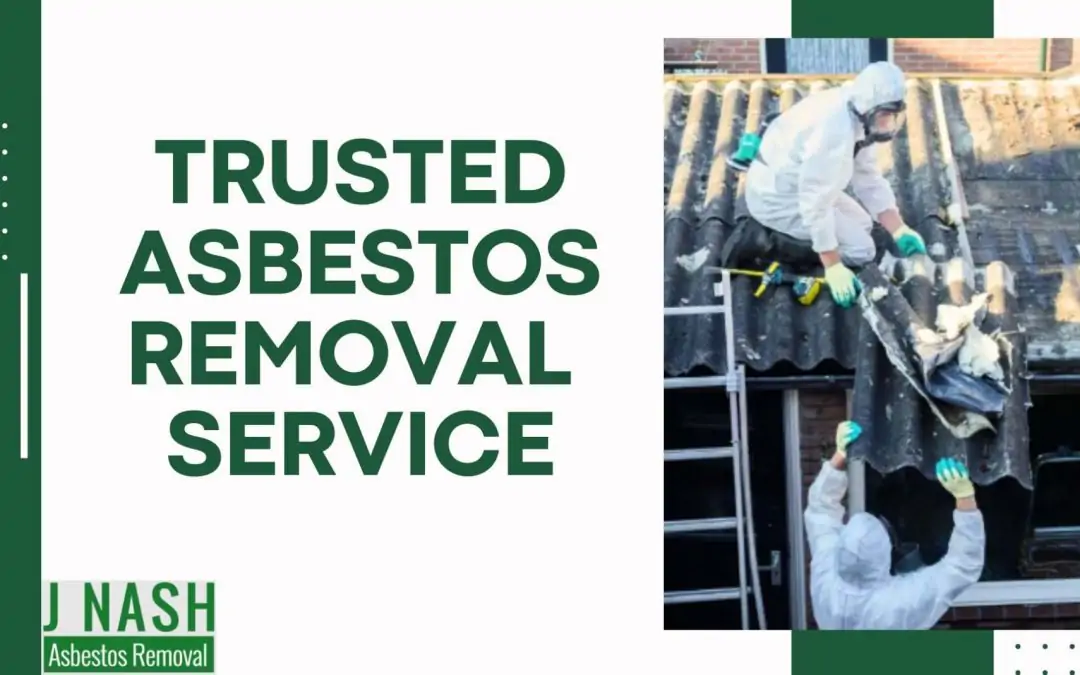 The Common Processes of an Asbestos Surey